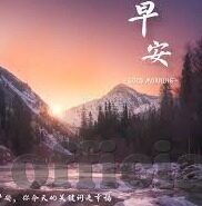 足球比分直播对阵表-揭秘足球比分直播对阵表，球迷的观赛指南与深度解析